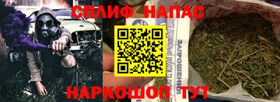 прущие грибы Новодвинск