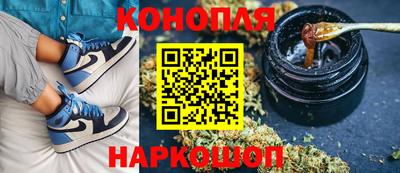соль ск Новозыбков