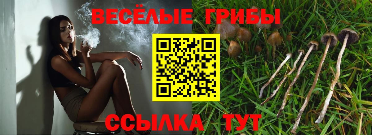Псилоцибиновые грибы мицелий Полевской