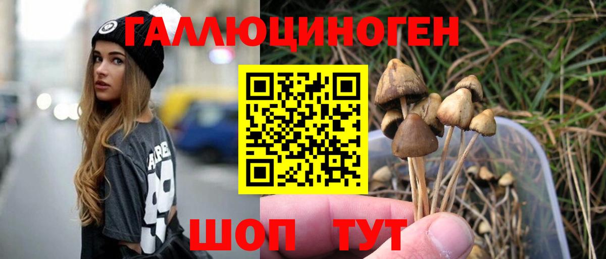 Псилоцибиновые грибы Psilocybe  Вход с VPN  Полевской 